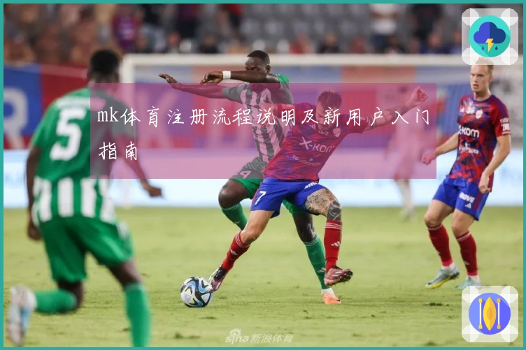 mk体育注册流程说明及新用户入门指南
