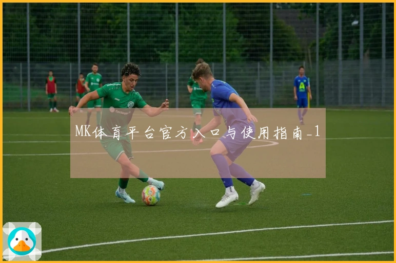 MK体育平台官方入口与使用指南_1