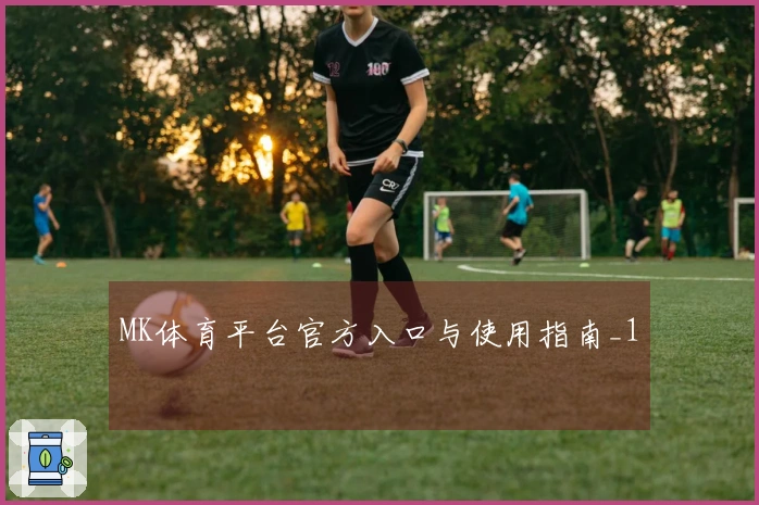 MK体育平台官方入口与使用指南_1