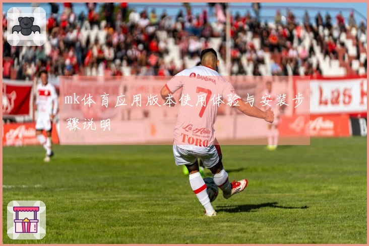 mk体育应用版本使用体验与安装步骤说明